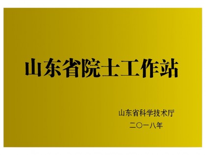 山東省院士工作站